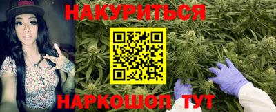 трава Краснодар