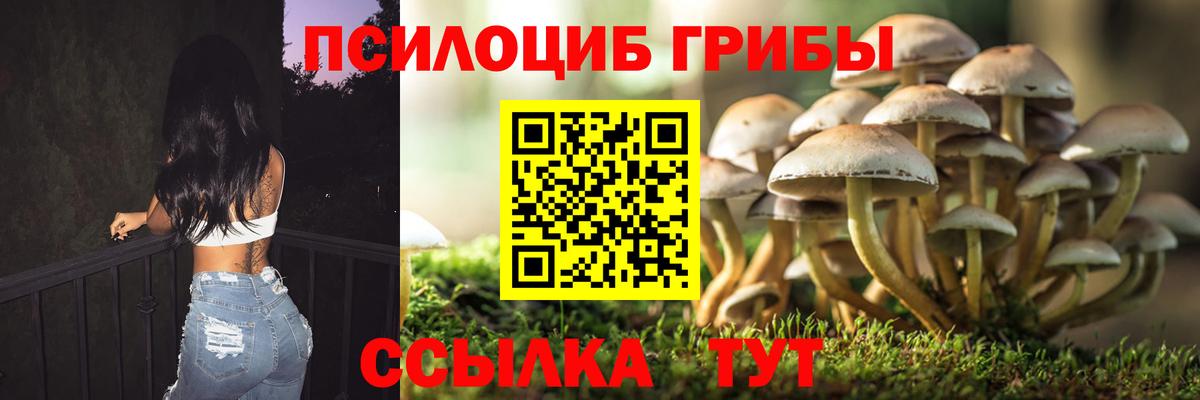 Галлюциногенные грибы прущие грибы Ирбит